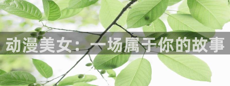 哈哩哈哩漫画官网在线观看：动漫美女：一场属于你的故事